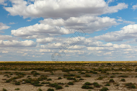 哈萨克斯坦的草原美丽的地貌绿草图片