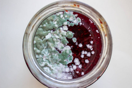 一罐果酱中的霉菌对健康有害霉菌背景图片