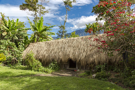 原住民茅草屋顶小屋是巴布亚新几内亚土著居民的典型住所图片