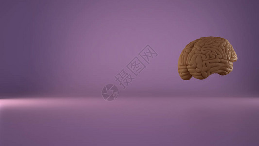紫色背景的人类漂浮大脑图片
