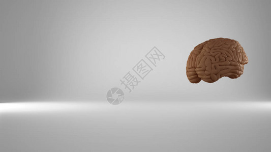 白色背景的人类漂浮大脑图片