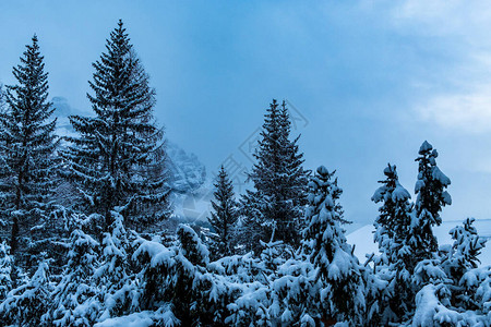 意大利阿尔卑斯山上载着雪的云背景