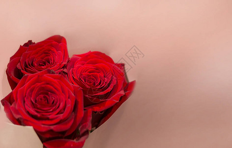 红玫瑰花束在蜜蜂背景上文字空间情人图片