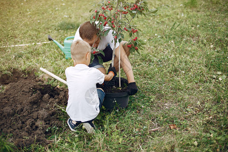家在院子上父亲和儿子种树男孩图片