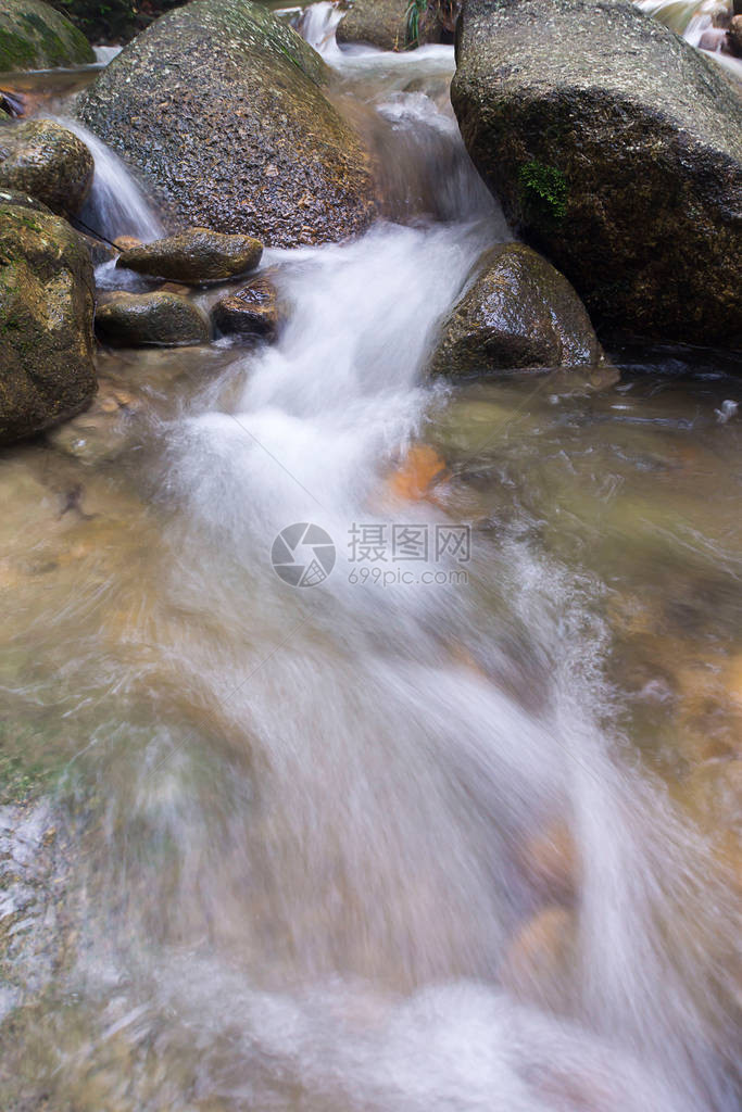 雨林深处的瀑布溪流图片