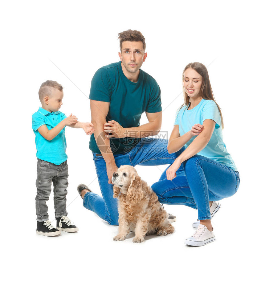 白色背景下对宠物过敏的搔痒家庭图片