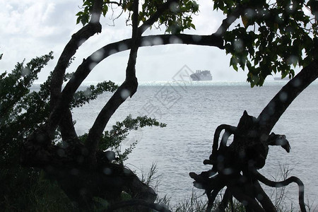 雨滴落在海滩上的树木剪影上远处有一艘船图片