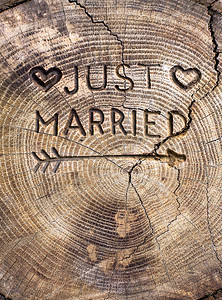 邀您品味刚结婚用于婚礼装饰的一棵树上的铭文橡木上的手工装饰板您的邀背景