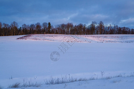 乡村公路和田地都布满了雪图片