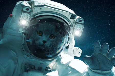 手挂的太空猫在外层空间漂亮的猫旅行概念Tripplefis图片