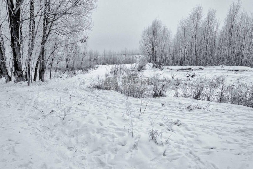 冬季公园的雪道图片