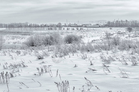 寒冬雪原边上的村郊图片