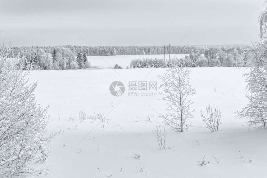 站在冬季田地的雪覆图片