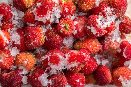冰冻的红草莓冷图片