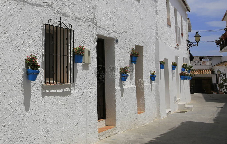 西班牙白洗过的房屋上亮蓝色植图片