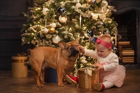 孩子狗和圣诞树图片