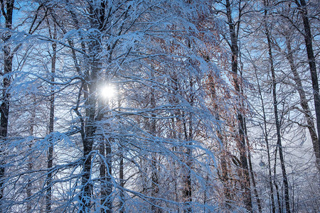 俄罗斯索奇罗莎胡托尔滑雪度假胜地的冬季山区风景清晨的阳光通过美图片