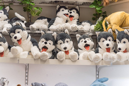 美国零售店货架上的毛绒狗小超级市场的小熊娃毛绒玩具或可爱玩具软玩具图片