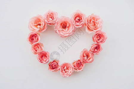 白色背景上盛开的新鲜粉红玫瑰的心形框架一束花朵复制空间顶视图图片