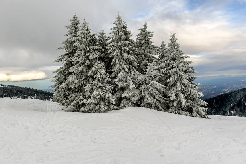 寒冷的山日奇异的荒凉景色雪图片