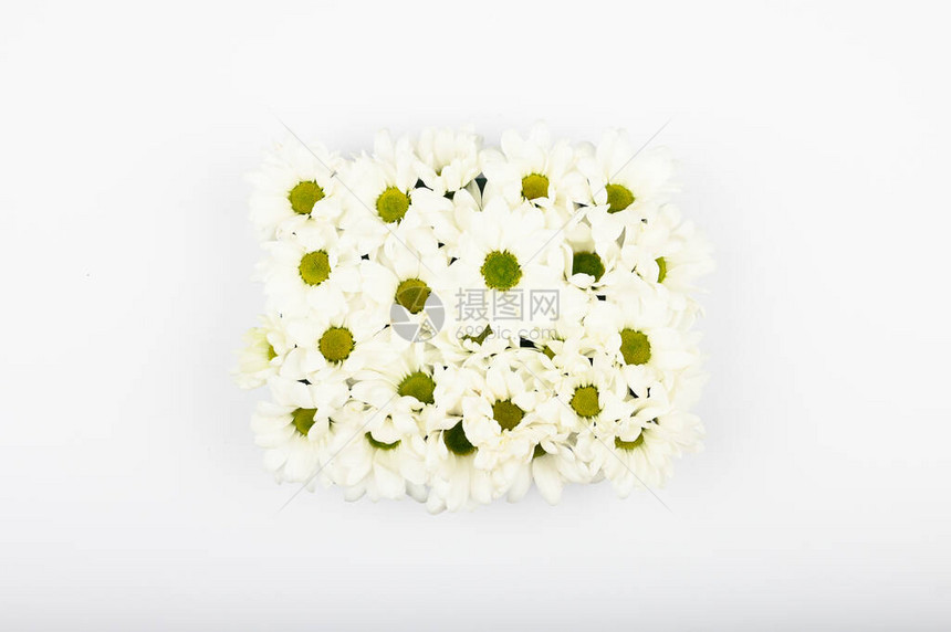 白色背景上的天然花的骄傲自然化妆品概念花的用处的概念从上面查看一个写作的地方水疗中图片