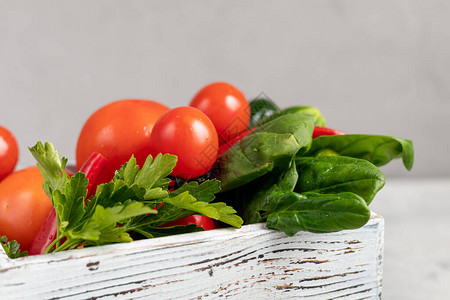 新鲜蔬菜和草药沙拉的成分番茄西红柿加菠菜绿洋葱和鹦鹉图片