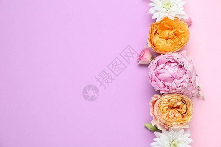 花朵的成分彩色背景上鲜花美丽的花朵平图片