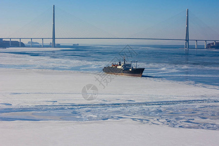 大海被冰雪覆盖海湾里有一艘船远处一座现代化的大型桥梁横跨海峡图片