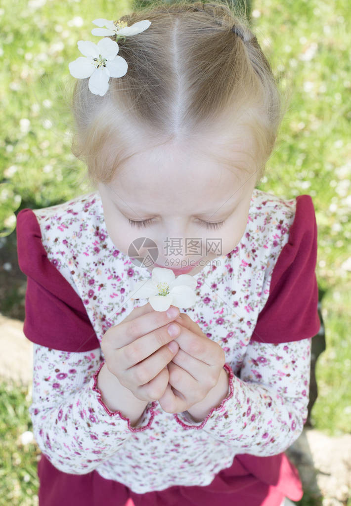 一个拿着苹果园花的小女孩盛开的苹果园里充满欢乐的春天气氛过敏季节图片