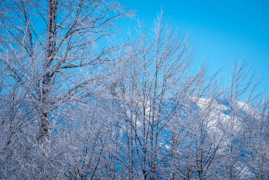 俄罗斯索奇罗莎胡托尔滑雪度假胜地的冬季山区风景图片