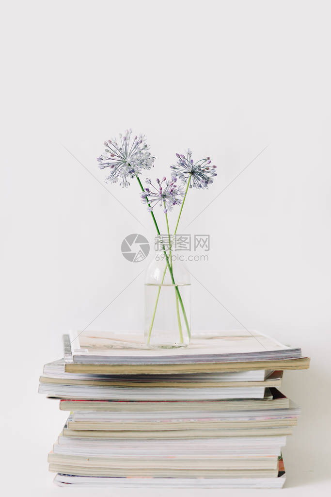 三朵紫色圆花放在一个透明的玻璃罐子里在一堆白色背景的杂图片