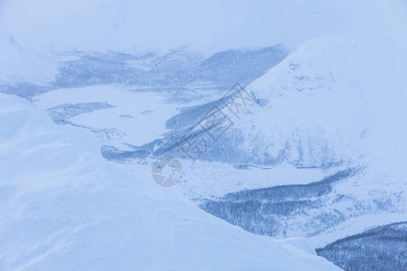 雪地的风景从山上的雪峰到带白树图片