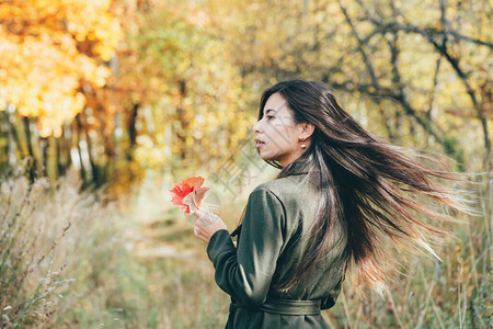 般的美丽女孩长着天然黑发手握落叶图片