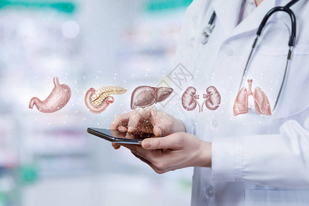 在虚拟屏幕上电话显示病人的内脏器官图片