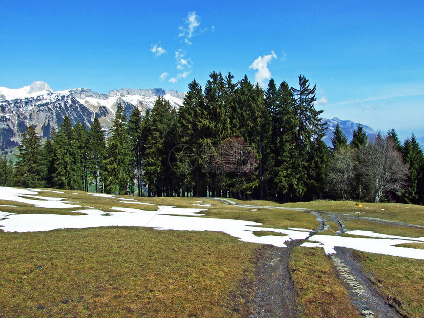 在Alpstein山脉的山坡上和Thur河谷的远足和步行道图片