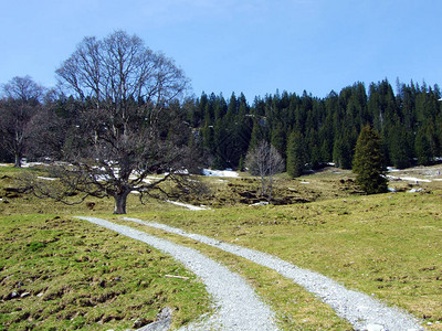 在Alpstein山脉的山坡上和Thur河谷的远足和步行道图片