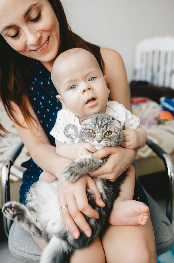 母亲和小儿子喜悦地握着一只小猫在他们的手中一图片