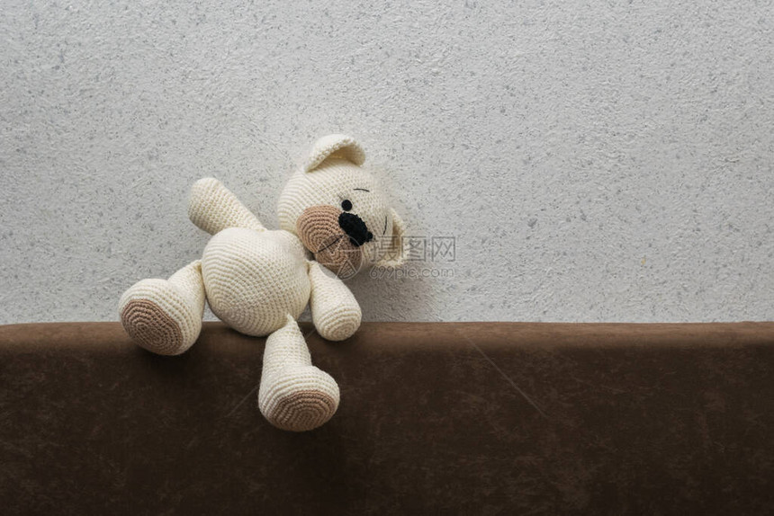 一只落下的白毛熊在沙发上的幼崽图片