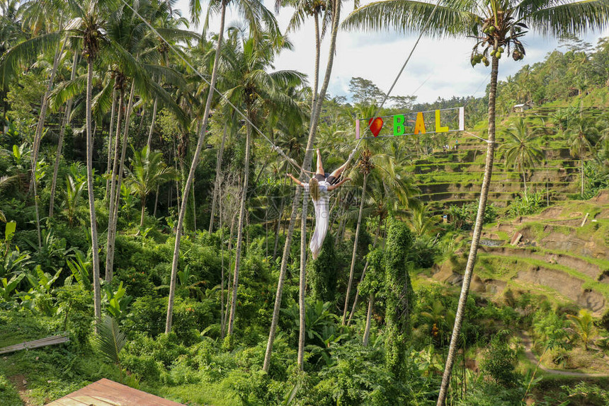 一个年轻的女孩在高的峡谷上荡秋千年轻的旅游妇女在巴厘岛热带德加拉朗丛林雨的悬崖上荡秋千秋千悬挂在两棵椰子树之间图片