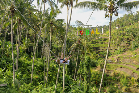 海 货船一个年轻的女孩在高的峡谷上荡秋千年轻的旅游妇女在巴厘岛热带德加拉朗丛林雨的悬崖上荡秋千秋千悬挂在两背景