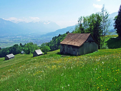 massif山坡和莱茵河谷Rhevental的传统建筑和农舍图片