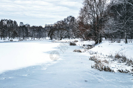 莫斯科的冬季公园有白雪皑的树木图片