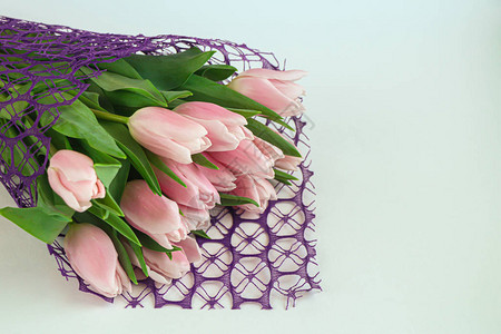 假日粉红色郁金香的包厢妇女节情人节命名日白背图片