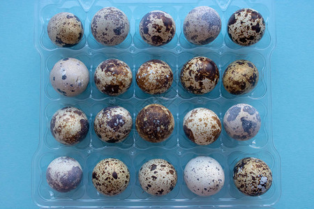 鸡蛋包装里有很多鹌鹑蛋选择焦点背景与鹌鹑图片