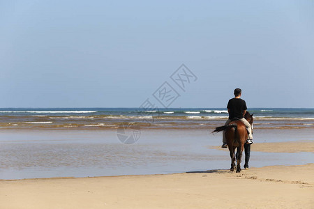 骑马在海滨浪上骑马和养马的护马者要一路小心图片