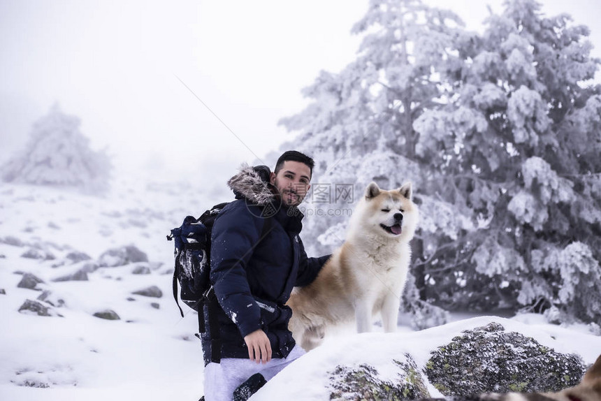 在雪山上带着他的狗一只秋田犬的男人图片