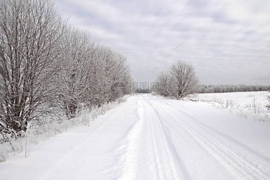 路上的树木被雪覆盖冬天的风景图片