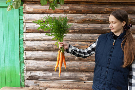 年轻农夫手上拿着新鲜长出胡萝卜的胡萝卜图片