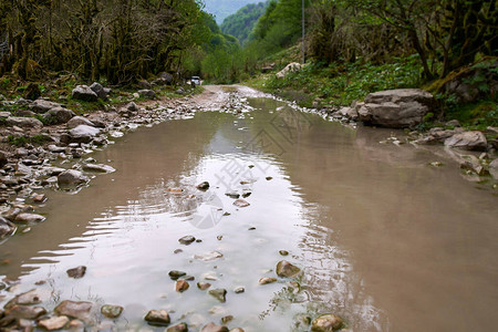 雨后山路佐治亚州山路图片