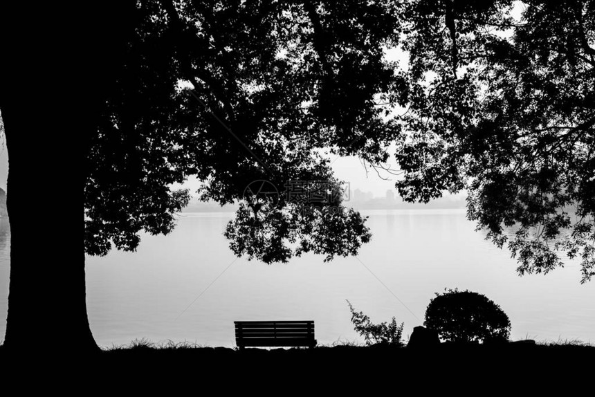 清晨在西湖或西湖浙江州杭为淡水湖用树座椅和公园对绿色环境的黑白图片